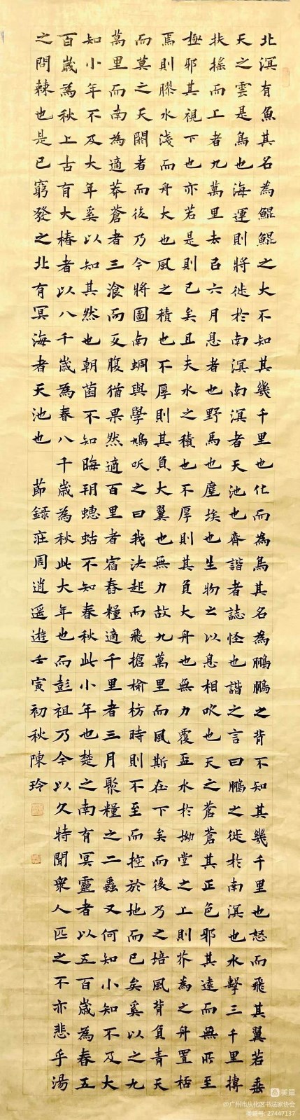1667007865625509.jpg
